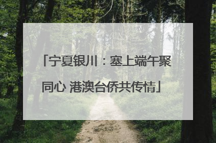 宁夏银川：塞上端午聚同心 港澳台侨共传情